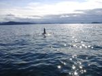 Kodiak Island Adventures