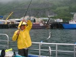Kodiak Island Adventures-Catching Bait