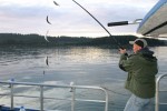 Kodiak Island Adventures - Catching Herring