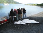 Kodiak Island Adventures
