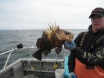 Kodiak Island Adventures