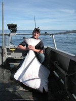 Kodiak Island Halibut Fishing