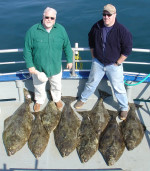 Halibut